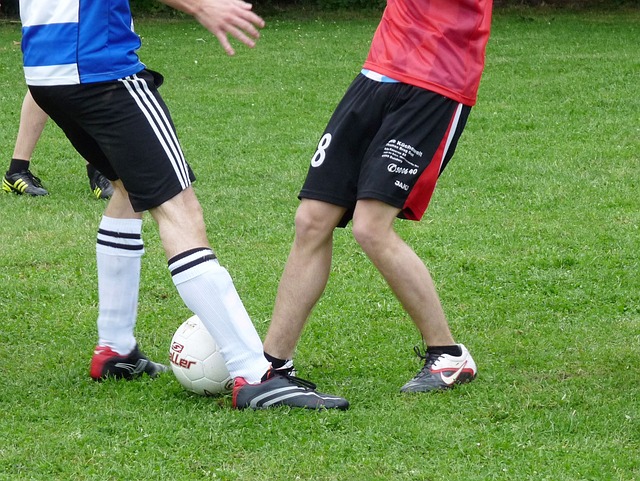 下了坚实的 下了坚实的