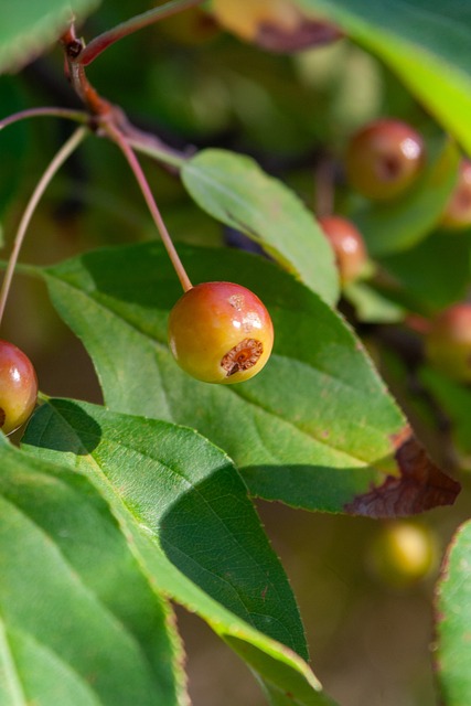 坚持与成长 坚持与成长