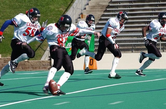 其中包括 其中包括