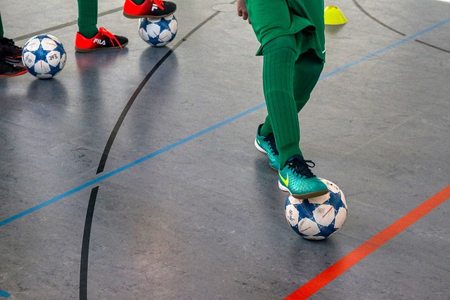 丰富的自然 丰富的自然